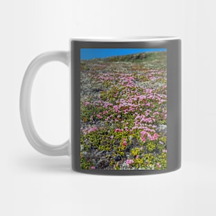 Nome Flowers of the Tundra Mug